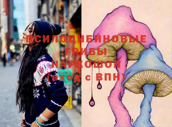гидра Алзамай